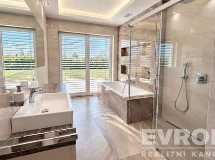 Pronájem domu/vily, 376 m²