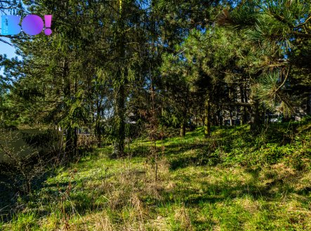 Prodej pozemku pro bydlení, 1 243 m²