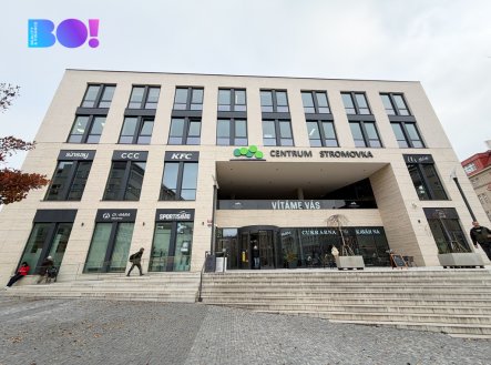 Pronájem jiné komerční nemovitosti, 374 m²