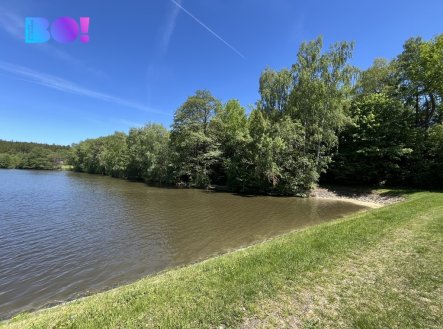 Prodej pozemku, les, 43 856 m²
