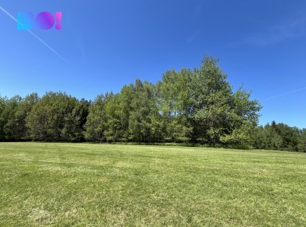 Prodej pozemku, les, 43 856 m²