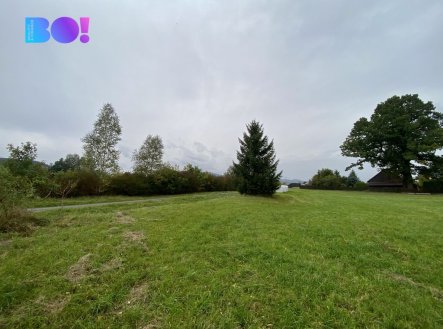Prodej pozemku pro bydlení, 2 825 m²