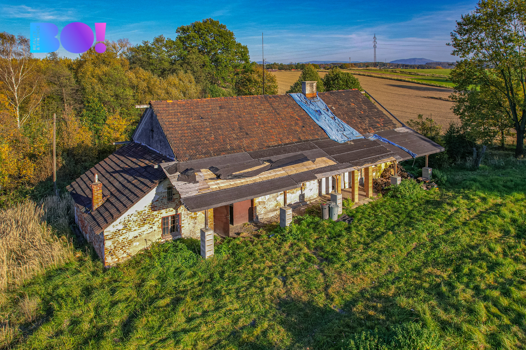dji-0788.jpg