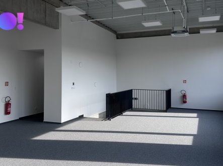 Pronájem obchodní prostory, 439 m²