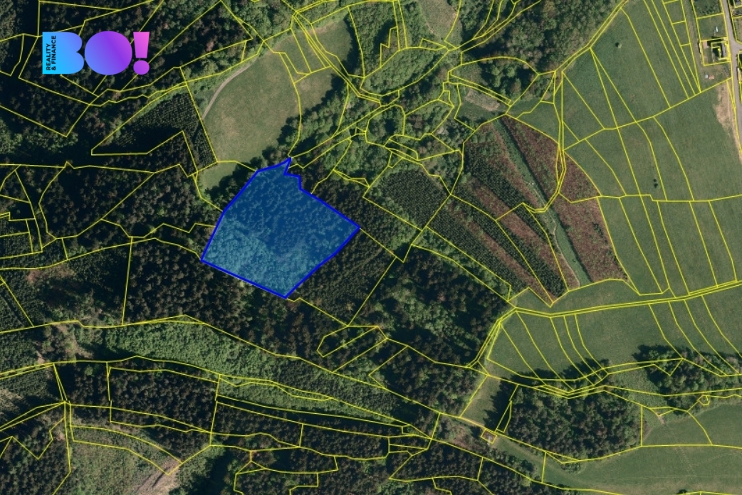 kat.map.inzerce.jpg