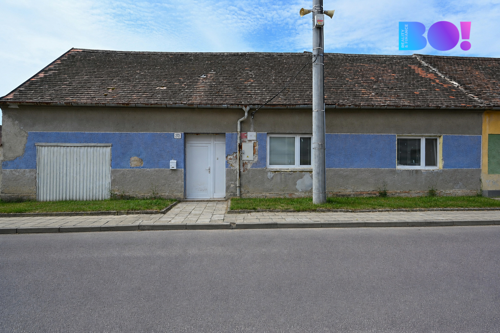 dum-retus.png