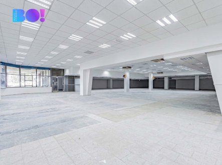 Pronájem obchodní prostory, 2 029 m²