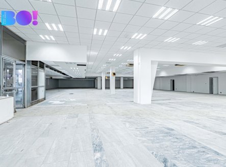 Pronájem obchodní prostory, 2 029 m²
