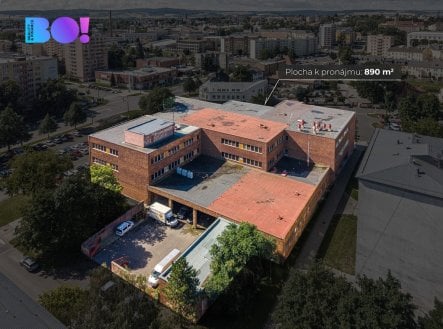 Pronájem obchodní prostory, 890 m²