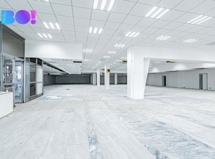 Pronájem obchodní prostory, 890 m²