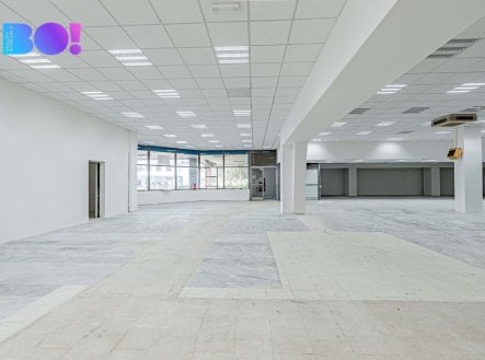 Pronájem obchodní prostory, 890 m²