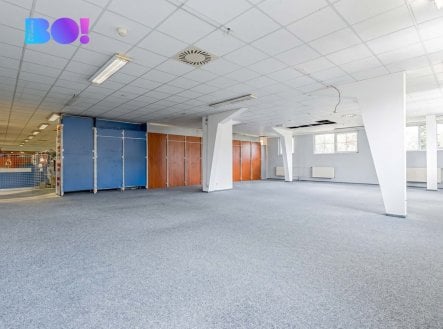 Pronájem obchodní prostory, 235 m²