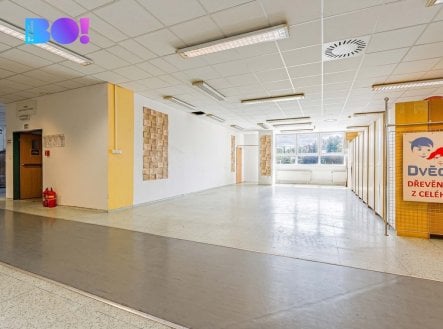 Pronájem obchodní prostory, 100 m²