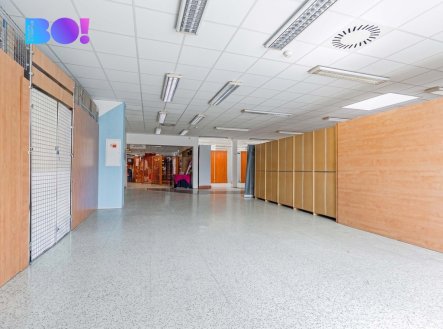 Pronájem obchodní prostory, 50 m²
