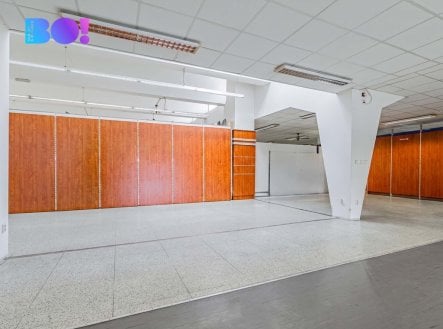Pronájem obchodní prostory, 20 m²
