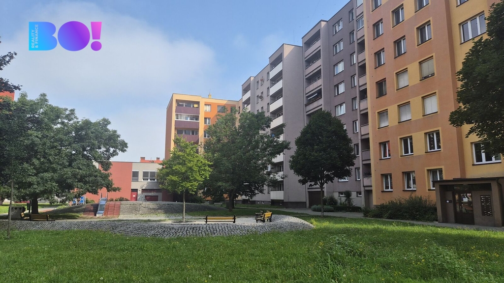20260803-094331.jpg