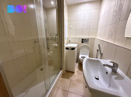 Pronájem bytu, 2+1, 43 m²