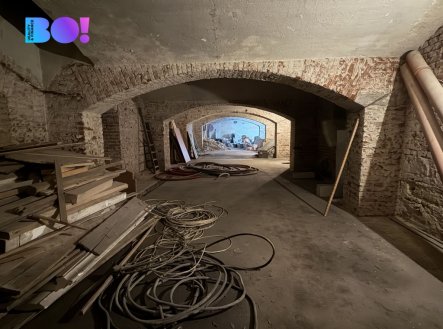 Pronájem obchodní prostory, 316 m²