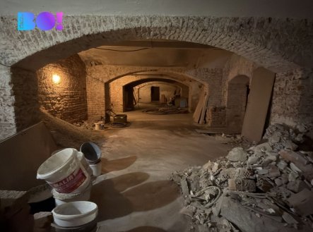 Pronájem obchodní prostory, 316 m²