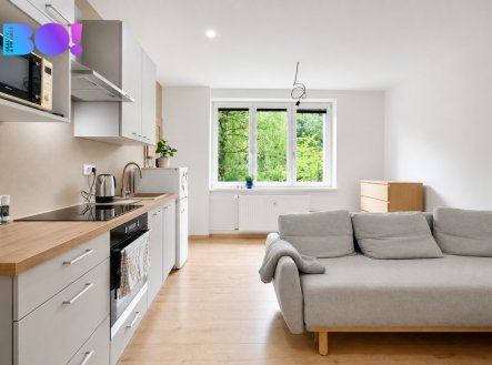 Prodej bytu, 2+kk, 35 m²