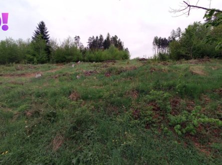 Prodej pozemku, les, 105 864 m²