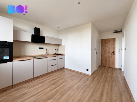 Prodej bytu, 1+1, 35 m²