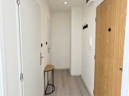 Pronájem bytu, 1+kk, 25 m²