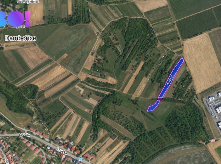 Prodej pozemku, zemědělská půda, 4 046 m²