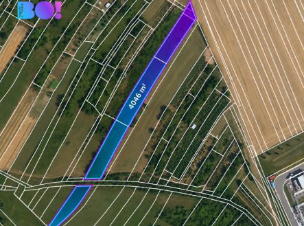 Prodej pozemku, zemědělská půda, 4 046 m²