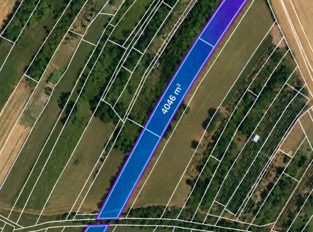 Prodej pozemku, zemědělská půda, 4 046 m²
