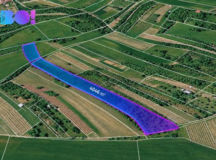 Prodej pozemku, zemědělská půda, 4 046 m²