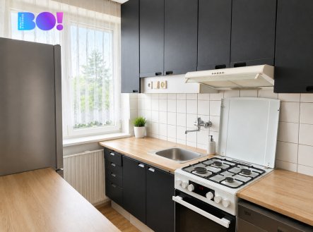 Pronájem bytu, 6+1, 300 m²