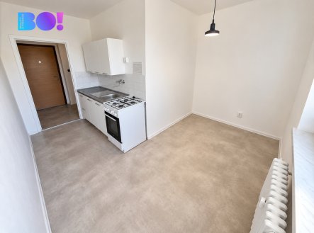 Pronájem bytu, 1+1, 45 m²