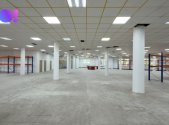 Pronájem obchodní prostory, 1 161 m²