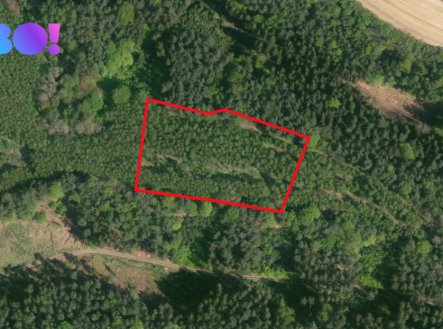 Prodej pozemku, zemědělská půda, 9 554 m²