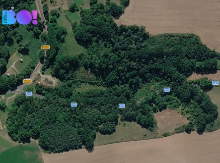 Prodej pozemku, zemědělská půda, 42 900 m²