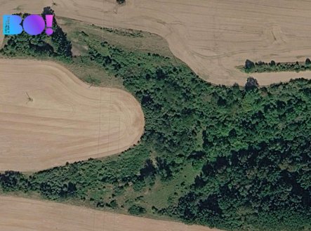 Prodej pozemku, zemědělská půda, 42 900 m²