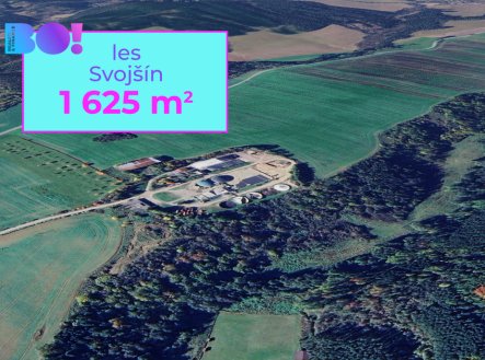 Prodej pozemku, les, 1 625 m²