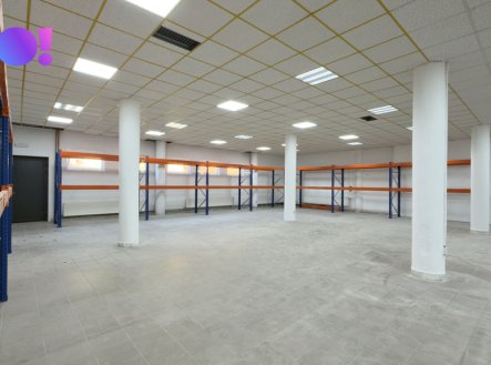 Pronájem obchodní prostory, 350 m²