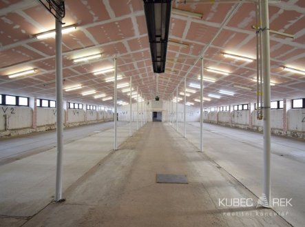 Pronájem skladu, 561 m²