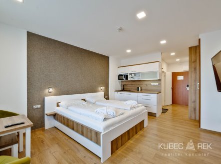 Prodej bytu, 1+kk, 30 m²