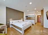 Prodej bytu, 1+kk, 30 m²