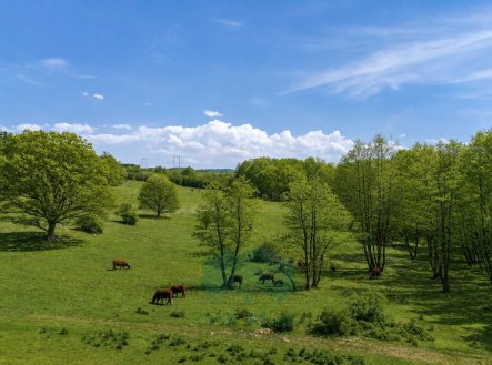 Prodej pozemku, trvalý travní porost, 274 000 m²