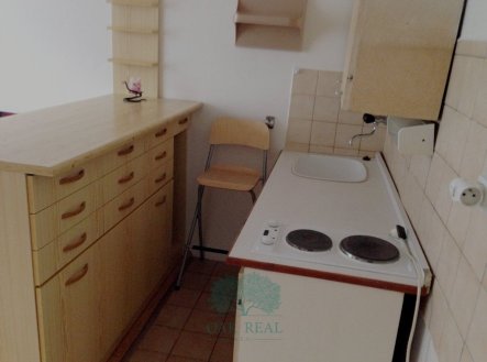 Pronájem bytu, 1+kk, 21 m²