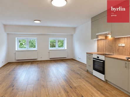 Pronájem bytu, 1+kk, 38 m²