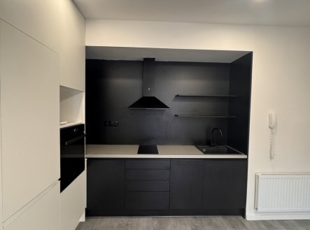 Pronájem bytu, 2+kk, 55 m²