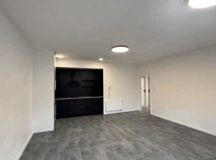 Pronájem bytu, 2+kk, 55 m²