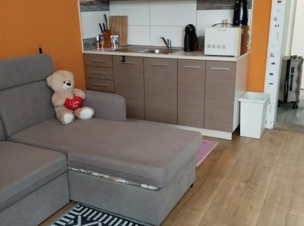 Pronájem bytu, 1+kk, 32 m²