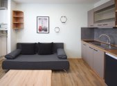 Pronájem bytu, 1+kk, 20 m²