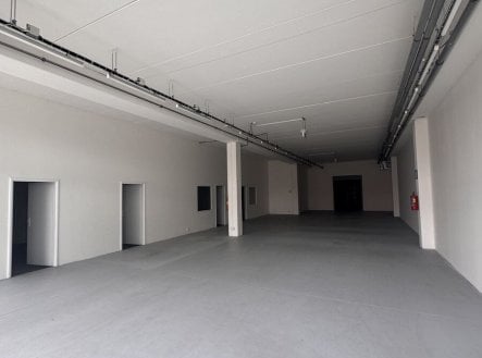 Pronájem obchodní prostory, 334 m²